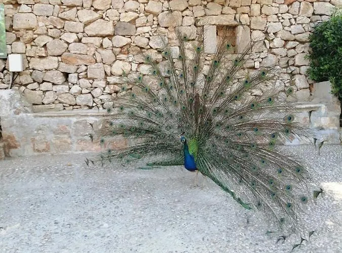 Ivan&marko 公寓 杜布罗夫尼克