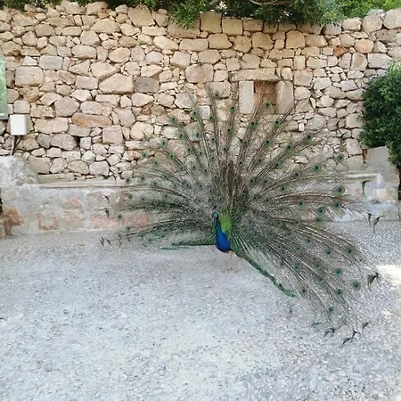 Ivan&marko Apartmán Dubrovník