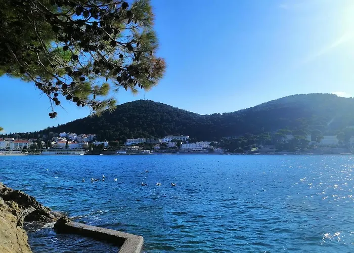 Ivan&marko Lägenhet *